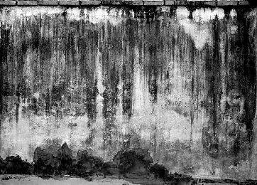 《星际公民》免费活动再开 海量飞船开放自由体验