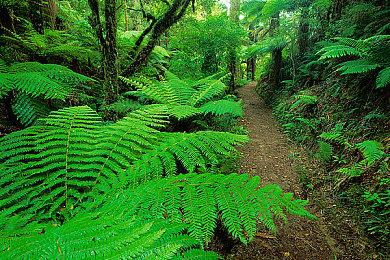 《星骑：亘古时空》11月10日EA发售 国区售价58元